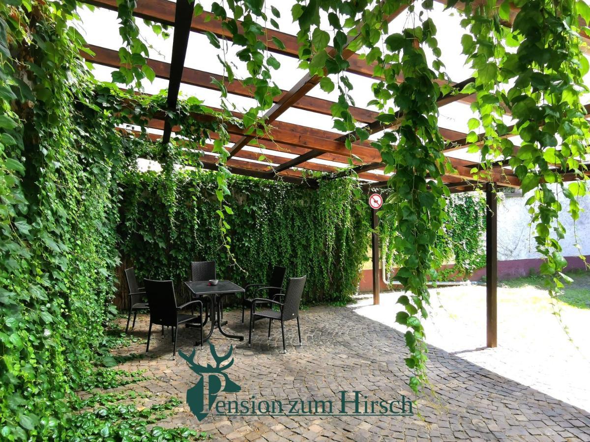 Hotel-Pension Zum Hirsch Hattersheim am Main Dış mekan fotoğraf